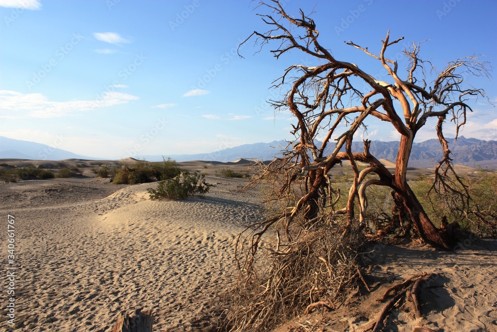 Travelling the world