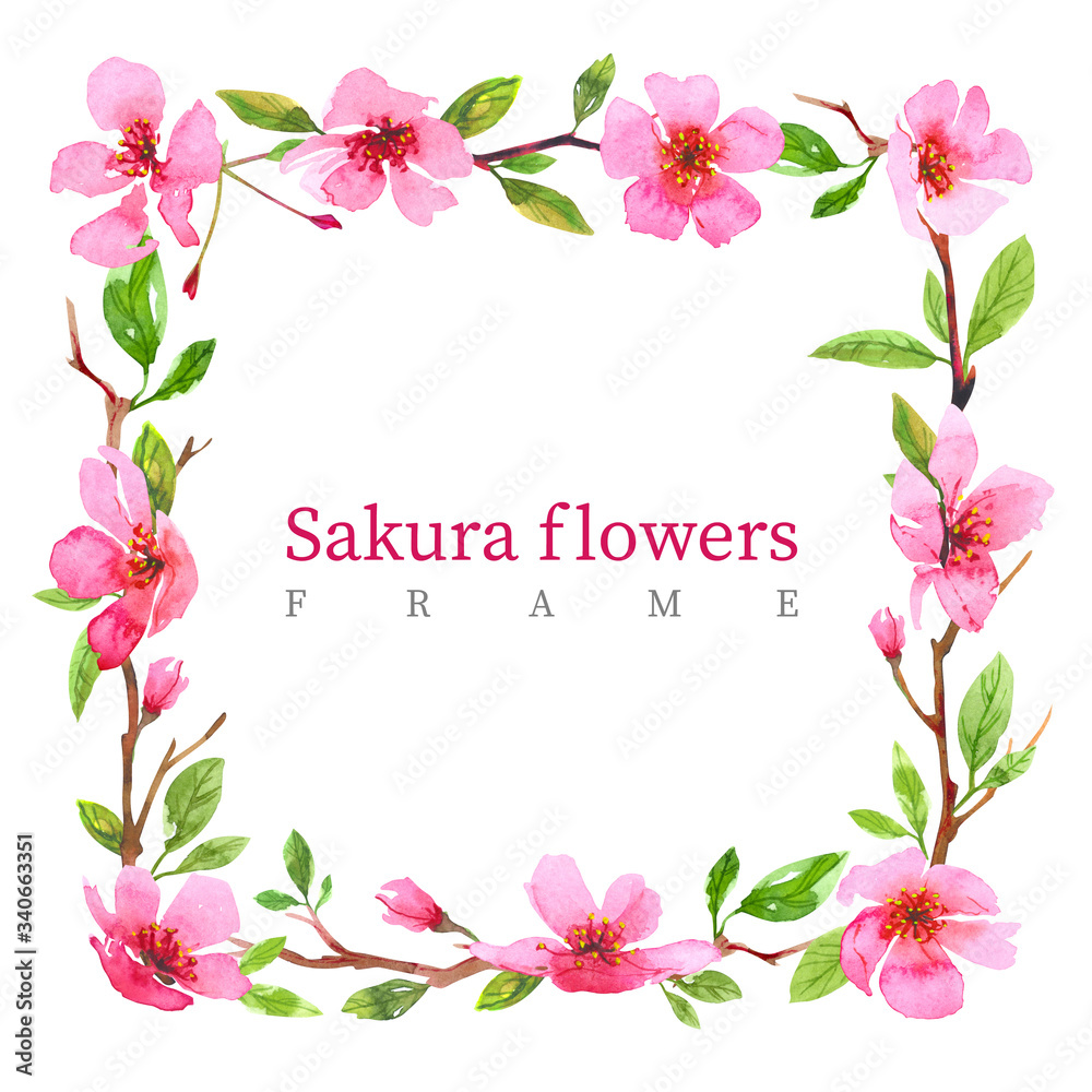 Watercolor cherry blossom flower square frame wreath. Sakura beautiful spring floral template. Colorful illustration isolated on white background. Watercolor cherry blossom flower square frame wreath. Sakura beautiful spring floral template. Colorful illustration isolated on white background.