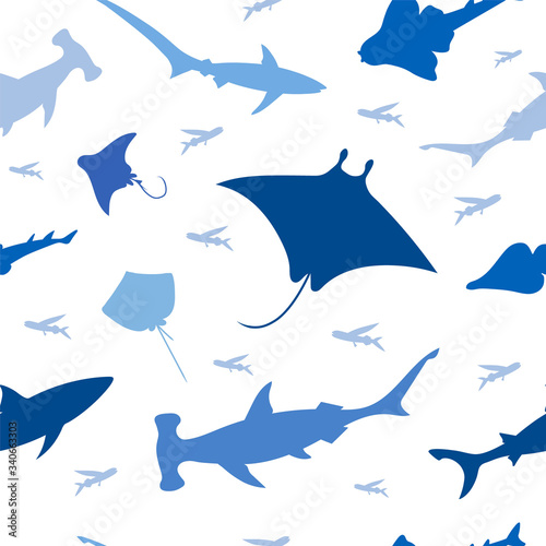 Fish shark seamless pattern. Vector color image background.