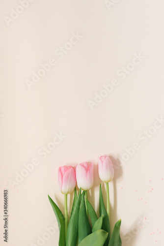 Fototapeta Naklejka Na Ścianę i Meble -  bouquet of the first spring flowers. Tenderness Pink tulip. Spring card or background with space for text. Top view. Copy space.