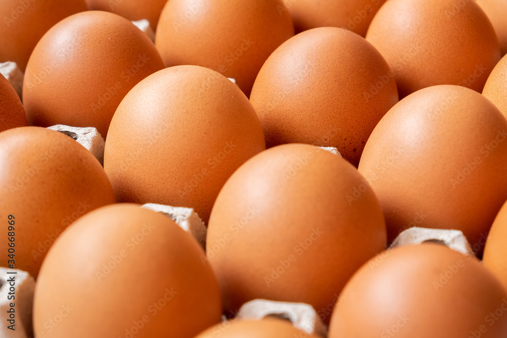 close up organic eggs on the tray. cheap healthy protein. fried egg is good for breakfast close up organic eggs on the tray. cheap healthy protein. fried egg is good for breakfast