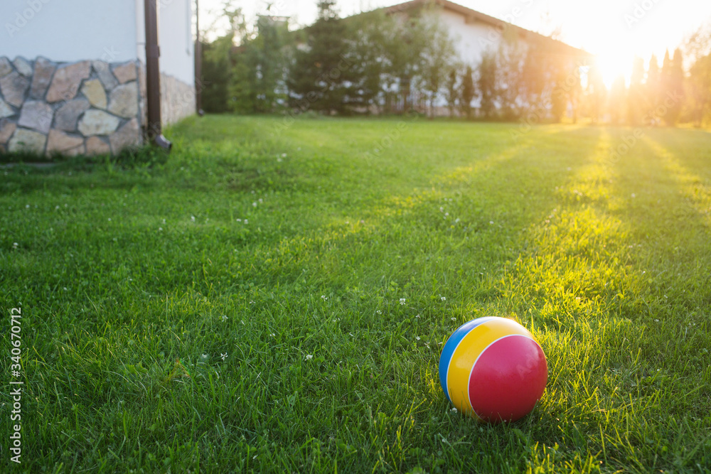 children's rubber ball on the grass. On a Sunny summer day. children's rubber ball on the grass. On a Sunny summer day.