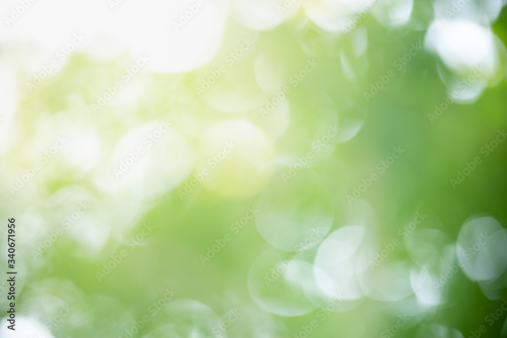 Abstract blurred out of focus and blurred green leaf background under sunlight with bokeh and copy space using as background natural plants landscape, ecology wallpaper concept. Abstract blurred out of focus and blurred green leaf background under sunlight with bokeh and copy space using as background natural plants landscape, ecology wallpaper concept.