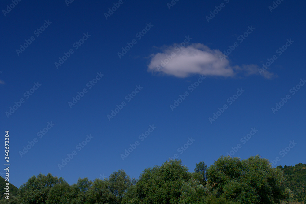 sky and trees,summer, cloud,nature, blue,white, outdoors,day,green,