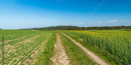 springtime rural scenery with oilseed rape, field, small hill with communication tower, dirt road and blue sky