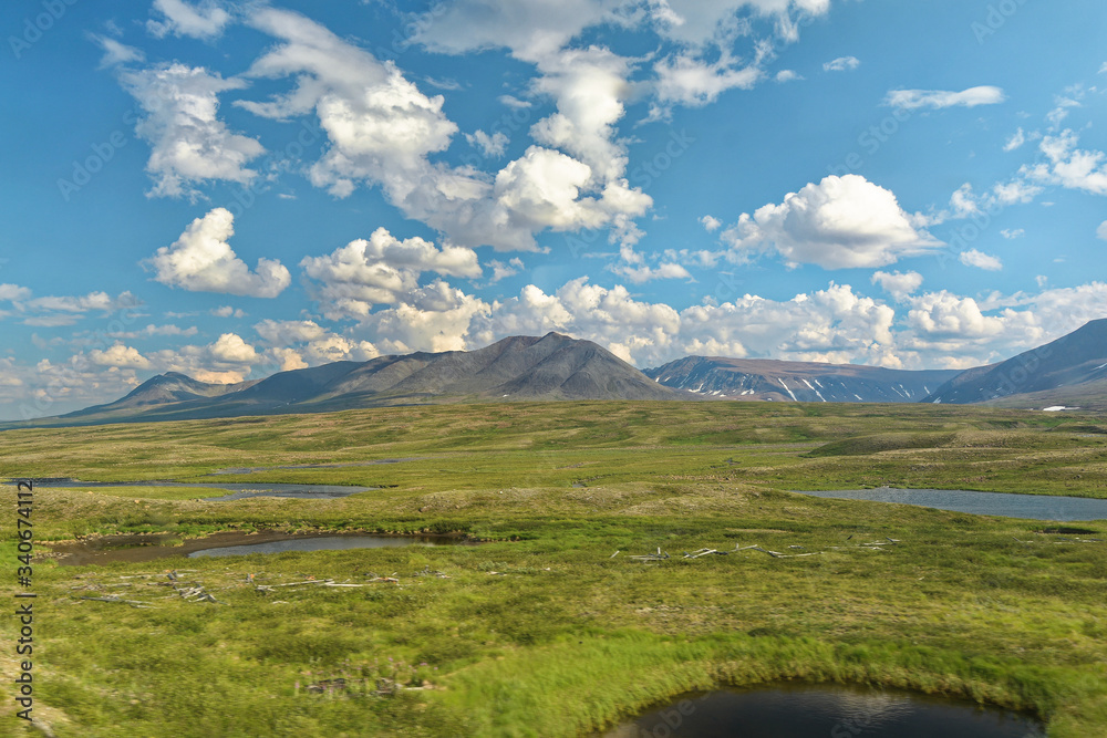 Naklejka premium Tundra in the foothills of the Polar Urals.