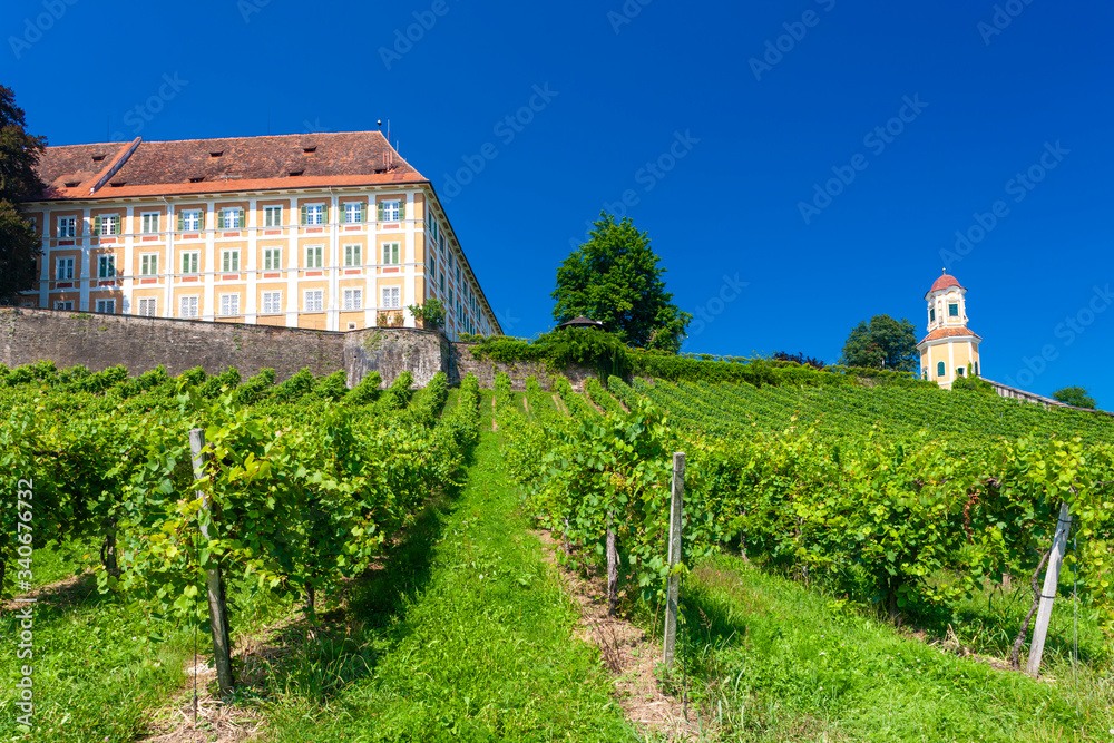 Castle Stainz and vineyard, Styria, Austria