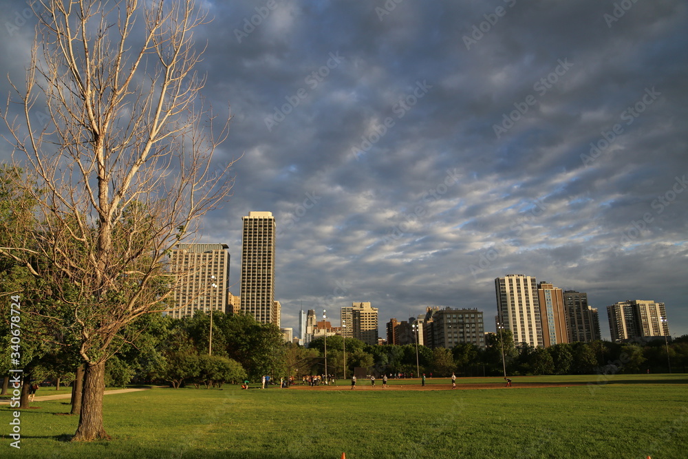 Fototapeta premium View of the Chicago skyline from the Formal Gardens park area in Grant Park, downtown Chicago, in the Loop.