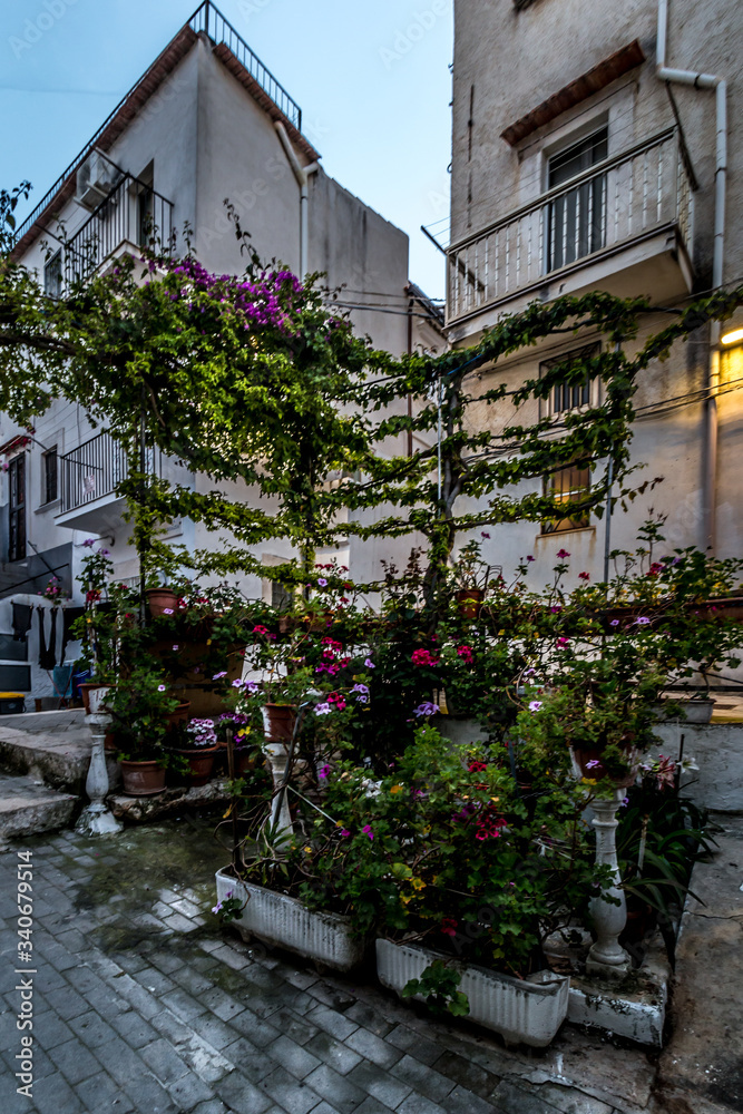 Garden in narrow street