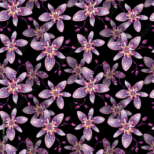 Tropical seamless floral pattern photo