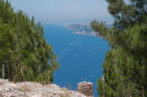 Sea view from a high hill. Coniferous trees grow on the hill