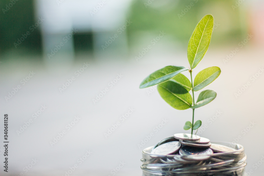 Finance and save money concept with business for planting tree Finance and save money concept with business for planting tree