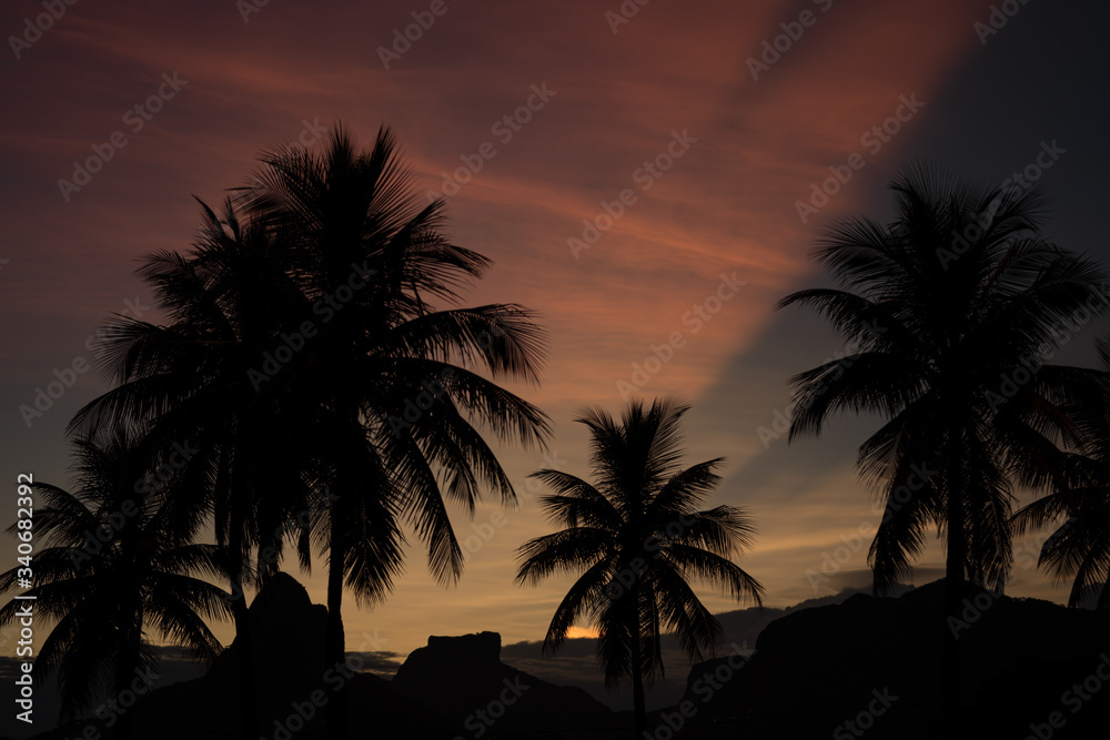 Silhouettes of palm trees during a colorful sunset over Dois Irmaos in Rio de Janeiro