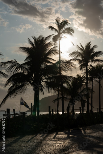 Silhouettes of palm tress on Leblon beach in Rio de Janeiro Brazil