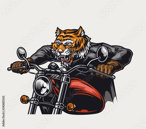 Angry tiger head biker riding motorcycle