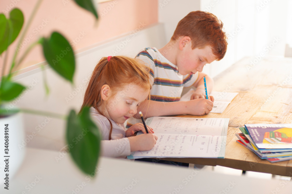 Pre-teen boy and young girl (brother and sister) focusing on their school work during homeschooling due to the coronavirus lockdown. Landscape format with copy space. Pre-teen boy and young girl (brother and sister) focusing on their school work during homeschooling due to the coronavirus lockdown. Landscape format with copy space.