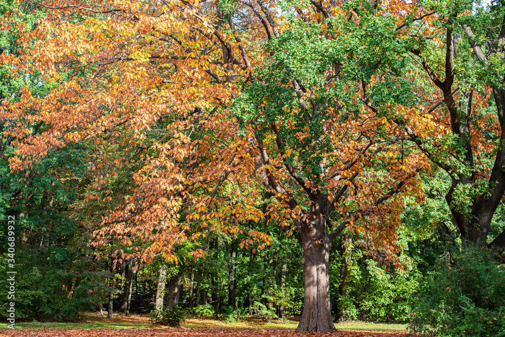 Naklejka premium Berlín monumental