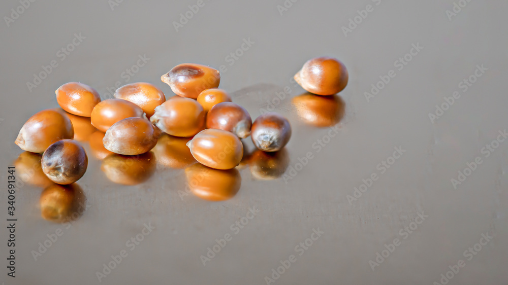Popcorn kernels on a gold, metallic background Popcorn kernels on a gold, metallic background