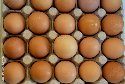 Raw chicken eggs in the cells form the background for the site.