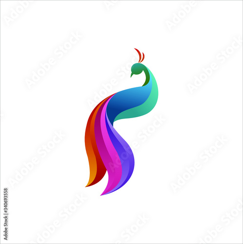 colorful peacock gradient artwork logo template. Animal abstract design vector illustration