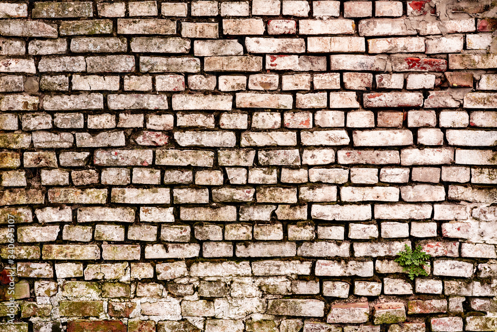 Fototapeta premium Texture of a brick wall with cracks and scratches which can be used as a background