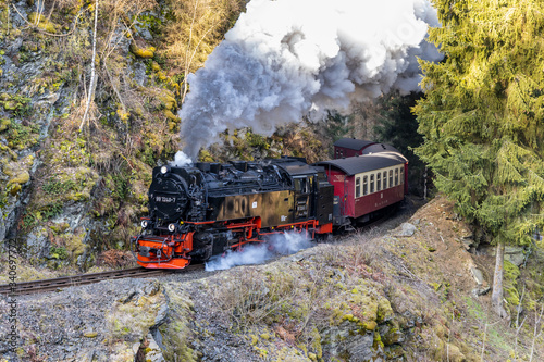 Harzer Schmalspurbahn im Selketal photo