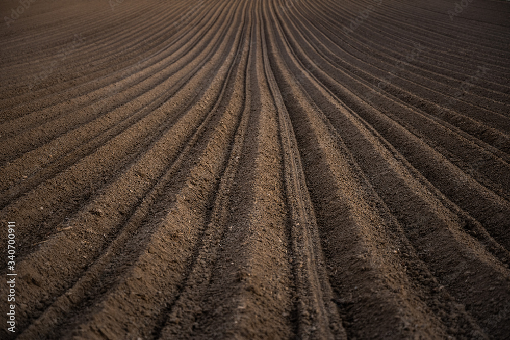 Freshly plowed field Freshly plowed field
