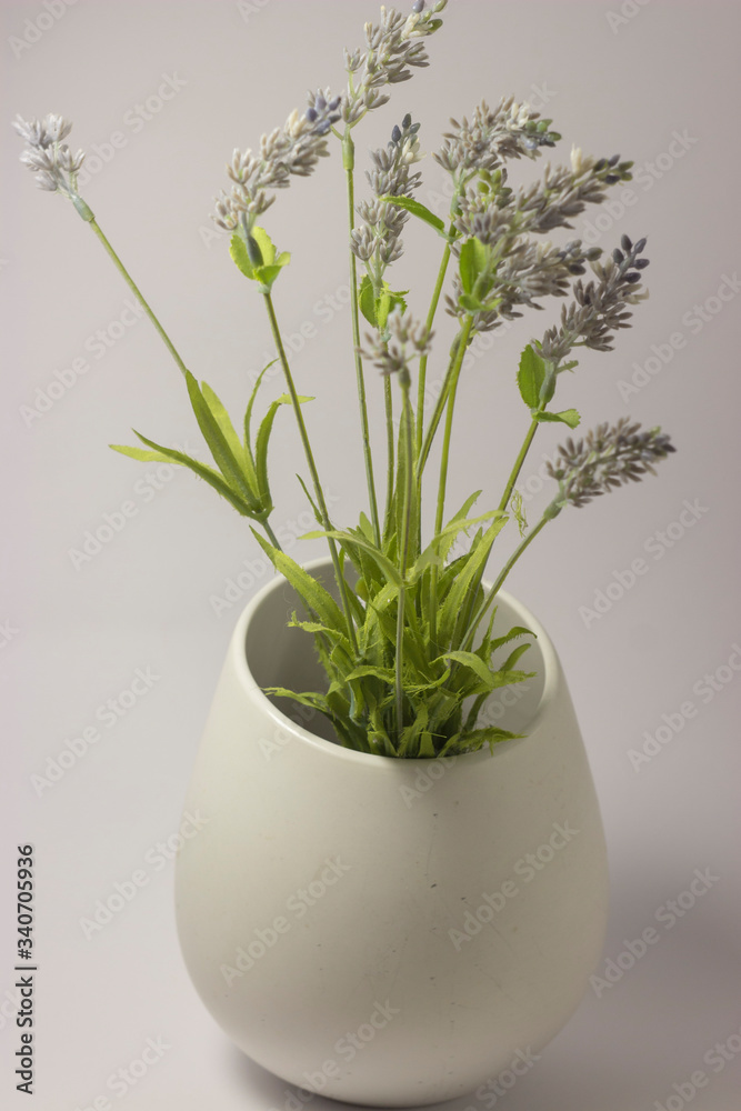 Flower Flower