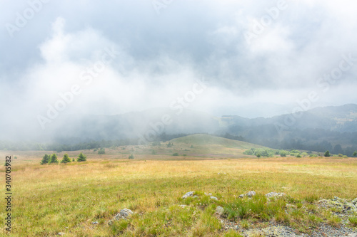 Lush mountain hill with pin...