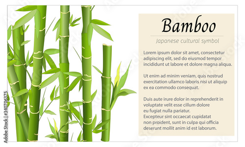 Japanese banner for text with bamboo. Vector illustration in a flat style for information flyers  presentations  postcards and travel posters.