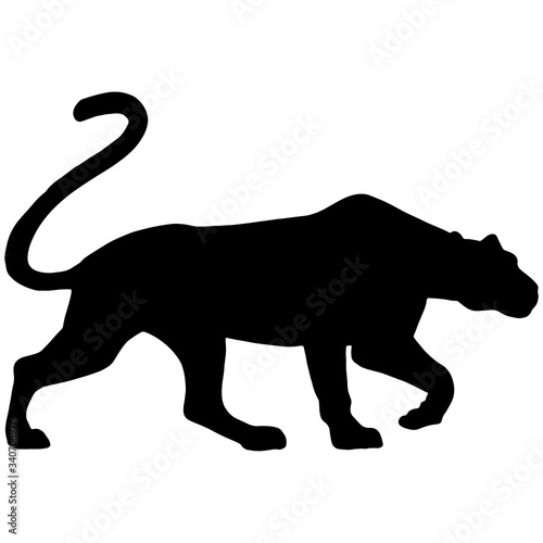 Panther icon. Black silhouette of wild cat