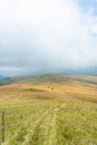 Yellow Hill