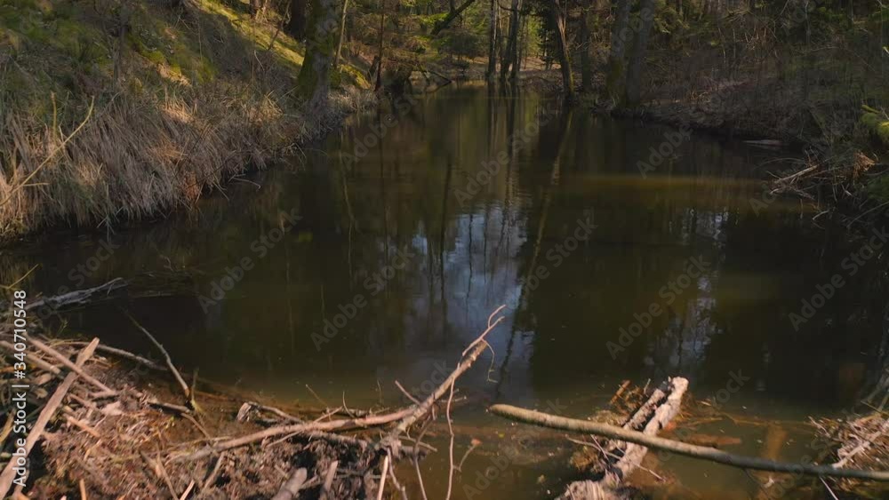 View of a small water stream drying up with a woods fallen and formed a barricade for flow. View of a small water stream drying up with a woods fallen and formed a barricade for flow.