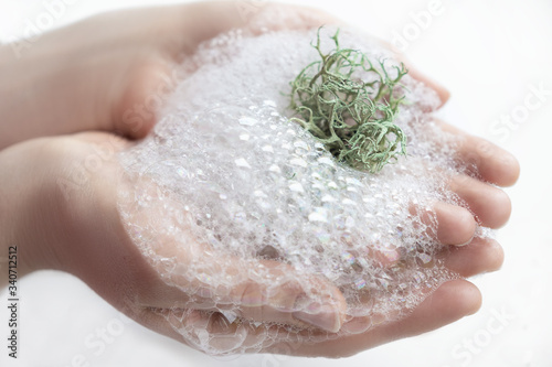 Foam and corals in female hands, on a white background. 