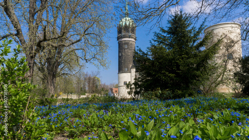 Schlosskirche Lutherstadt Wittenberg, Sachsen-Anhalt, Deutschland  photo