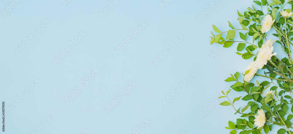 Flat lay composition with flowers, branches with green leaves on a color background Flat lay composition with flowers, branches with green leaves on a color background