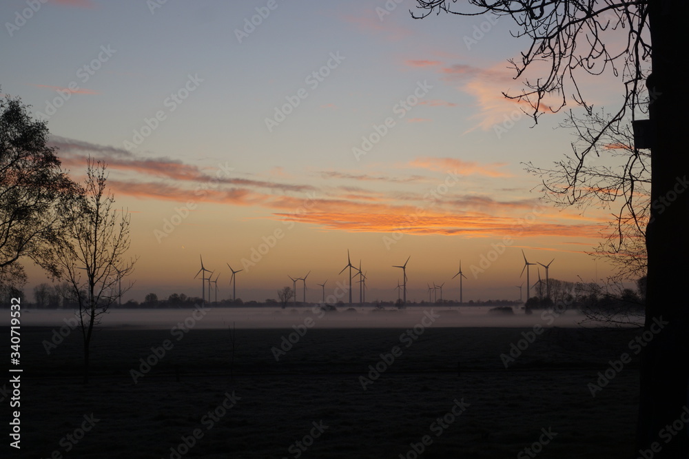 Fototapeta premium Nebel Wiese Baum Natur Sonnenaufgang Bodenenebel