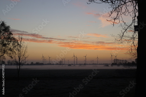 Nebel Wiese Baum Natur Sonnenaufgang Bodenenebel