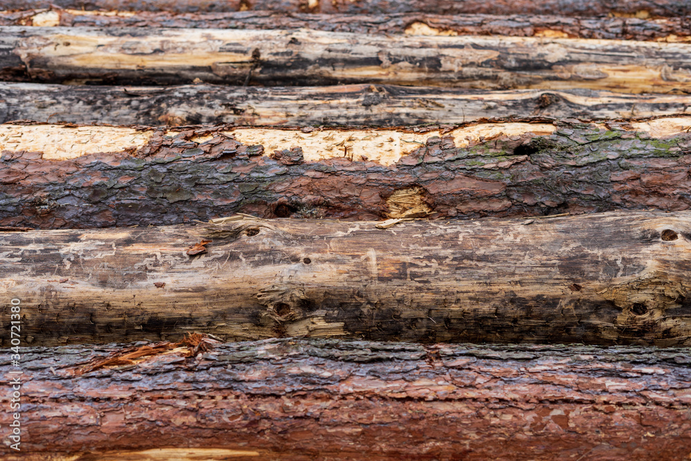 Tree logs. Background fence from raw pine planks. Wood texture in brown color. Tree logs. Background fence from raw pine planks. Wood texture in brown color.