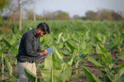 young indian agronomist examining the field