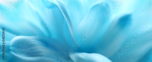 Slika na platnu Soft focus flower background with copy space