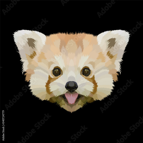 geometric polygonal of raccoon premium vector, can be used for background, poster, wallpaper, decoration.