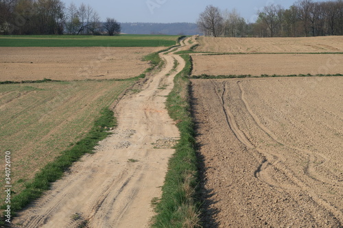 Dirt road perspective