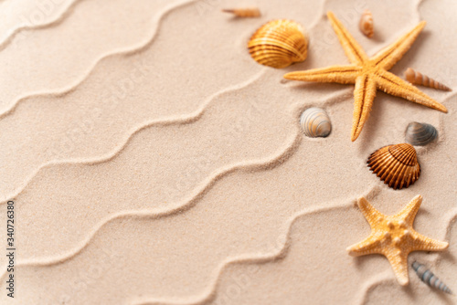 summer beach background with shell  sea star  vacation and travel concept  Flat lay top view copy space  Minimal exotic concept. Creative layout of sand waves.