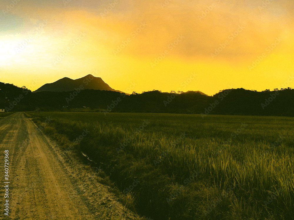 Obraz premium sunset over the field