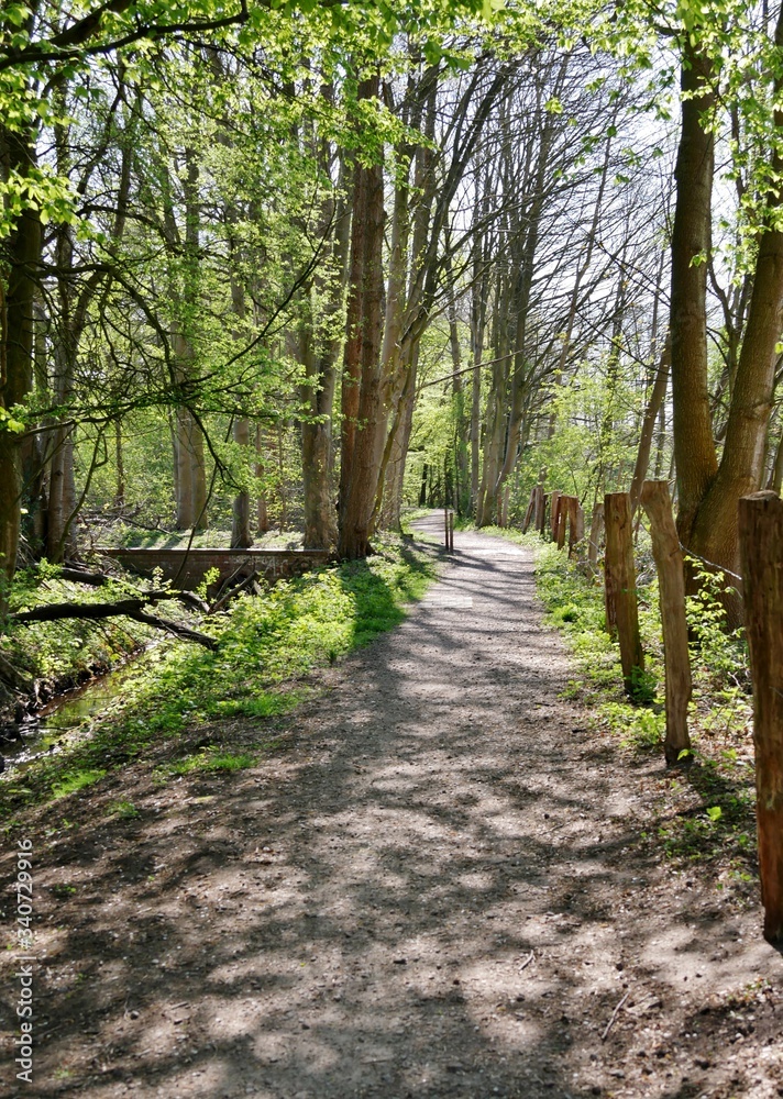 Fototapeta premium Weg durch den Park in Hamburgs Norden