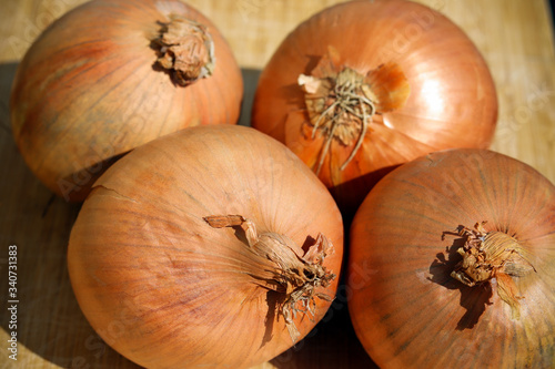 Raw onions on wooden board
