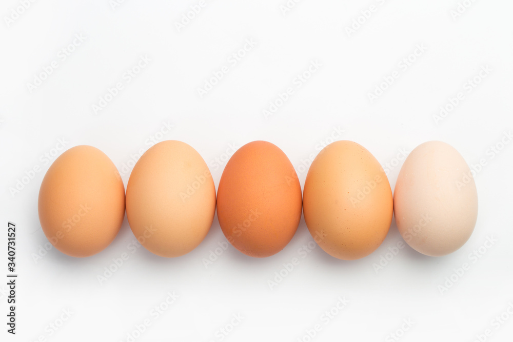a lot of chicken eggs on a white background a lot of chicken eggs on a white background