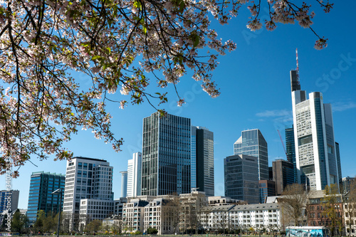 Frankfurt, Germany - March 31, 2020: frankfurt skyline view from main riverside in springtime