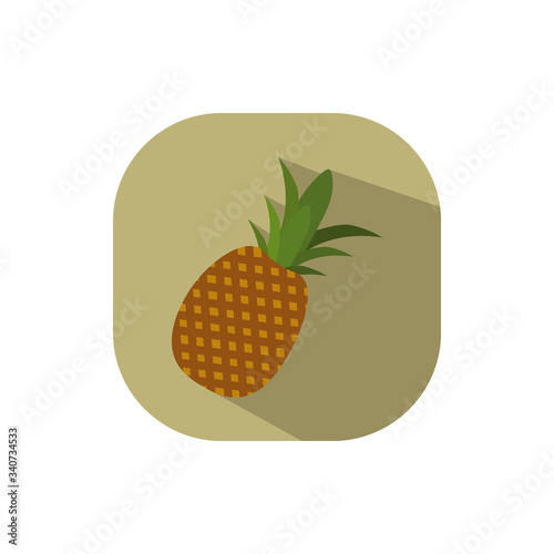 ananas pineapple vector flat design